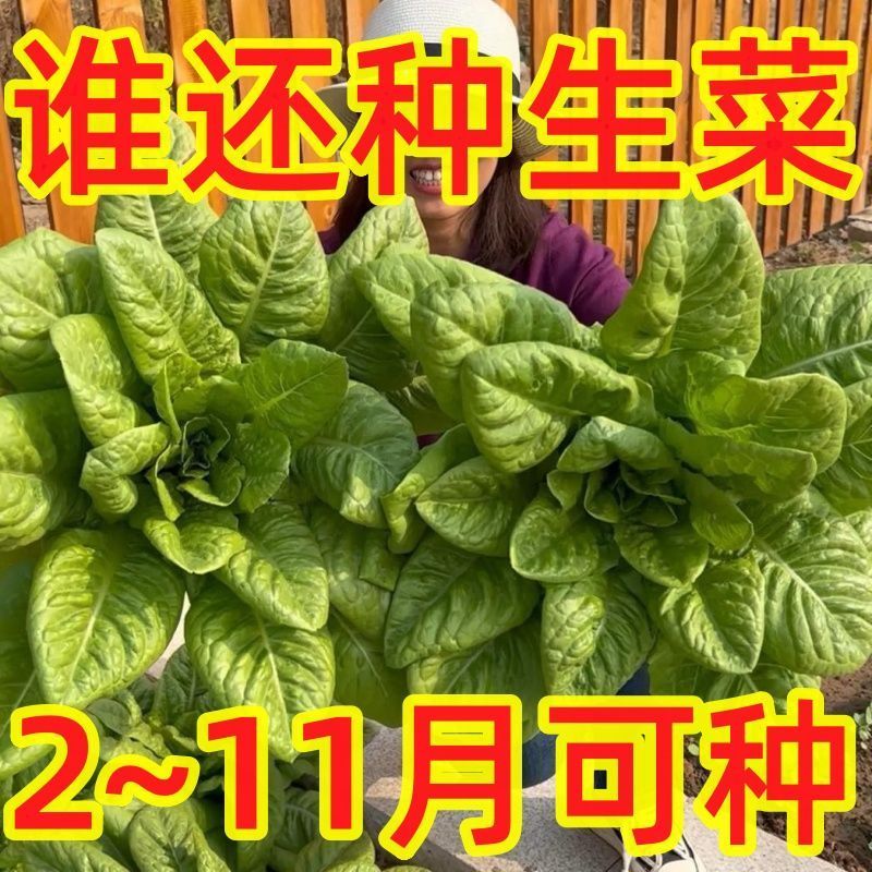 872baf983ba1ae4a.jpg