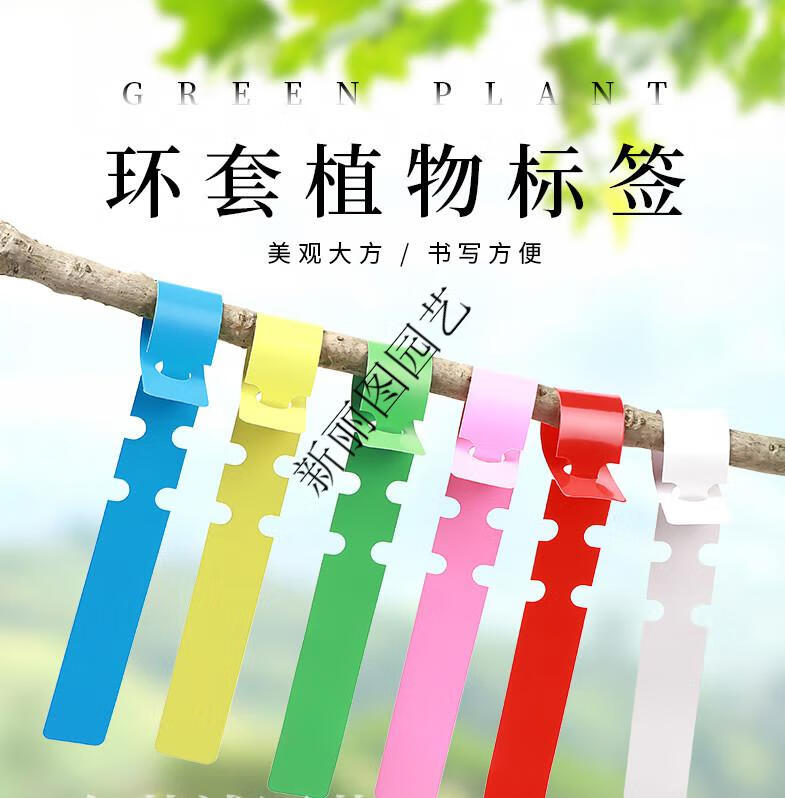花卉植物苗木环扣园艺标记牌环套标签月季塑料防水果树盆景标识牌