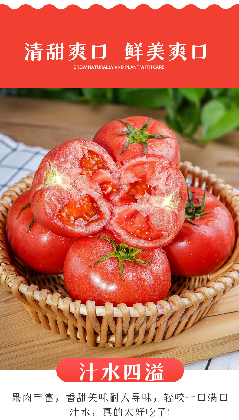 普罗旺斯西红柿沙瓤红心番茄现摘新鲜水果自然熟生西红柿 10斤装