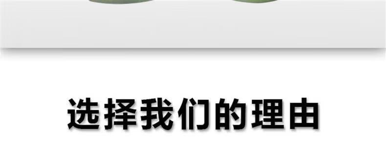 5，徠卡全站儀稜鏡基座光學對點基座Leica對中器GDF321基座連接器 RTK靜態基座(FG01XL對點連接器+GDF21