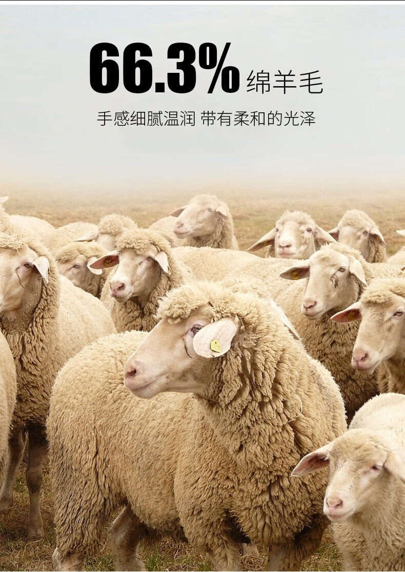 34a8140ad6cbc1db.jpg