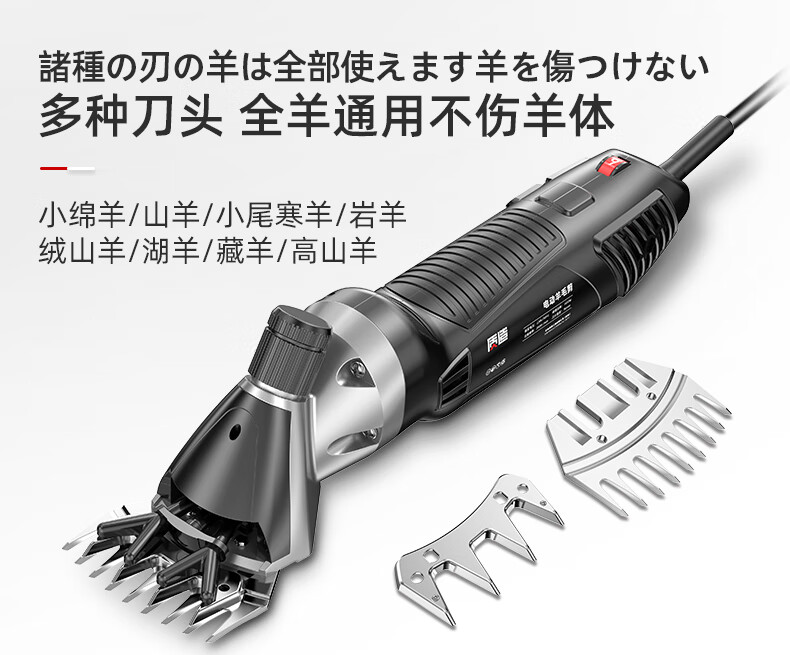 2b93e6aa124e312f.jpg