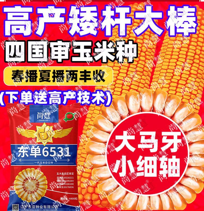 c587cffc2488acf0.jpg