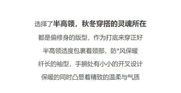 皮尔卡丹半高领羊毛针织衫气质修身秋冬韩系时尚上衣75-85白色新款打底衫时尚韩系上衣女 白色  S 75-85详情图片12