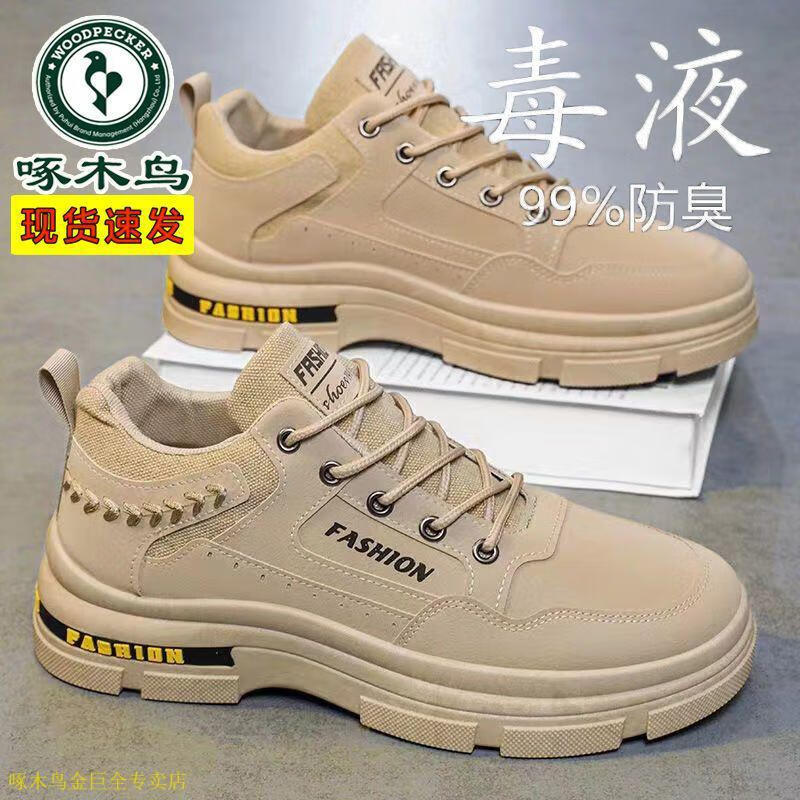 5519946b5a404724.jpg