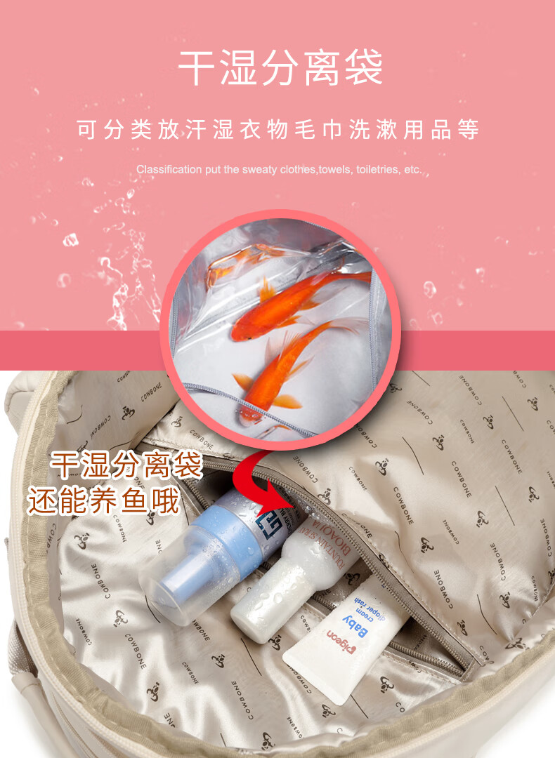 1d323119da86efe6.jpg