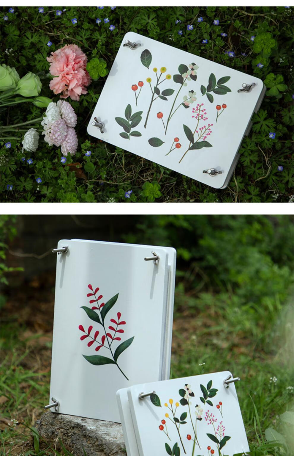 抖音款干花压花板押花器手工diy植物标本满天星鲜花制作工具 小号衬纸