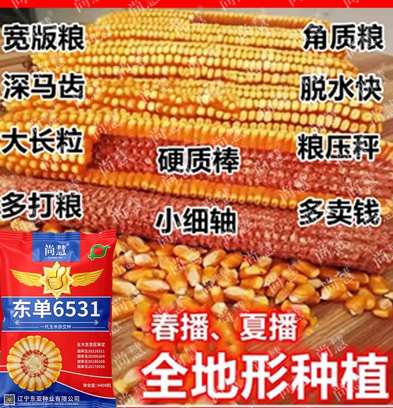 1a40fc2b7c883954.jpg