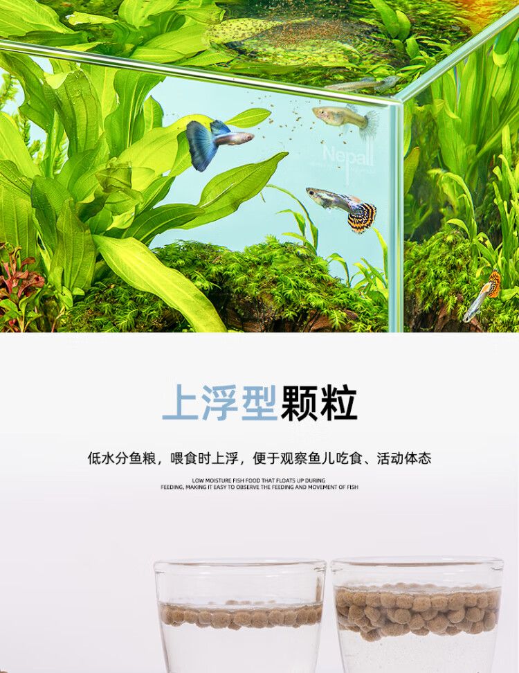 9，寵以沫【甄選廠家】魚糧飼料金魚錦鯉魚家用魚料通用型魚食淡水觀賞魚魚 大顆粒錦鯉魚糧500g±10g