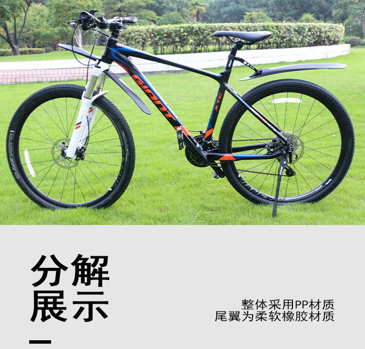 95568dc5566d4059.jpg