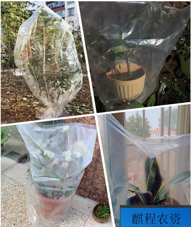 款花卉绿植盆栽过冬防冻保温膜植物果树防寒罩套家用加厚透明塑料袋