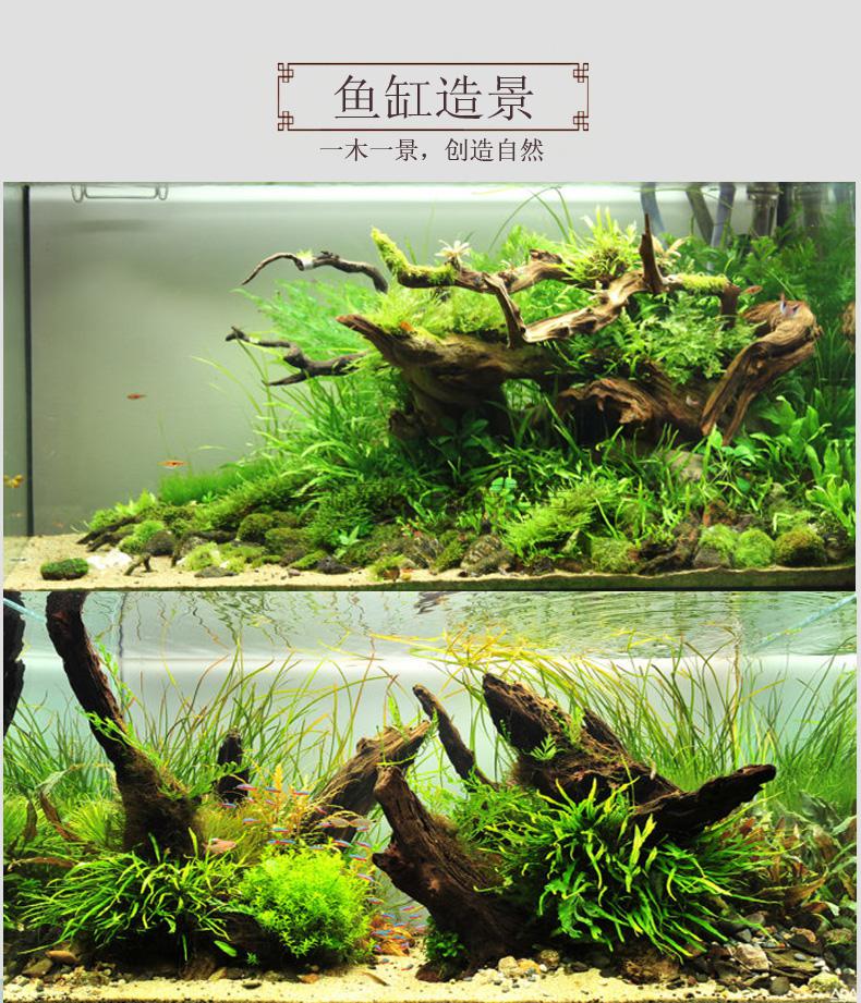 鱼缸装饰沉木天然紫柚木精品中小缸马来流木乌龟晒台爬宠摆件免煮红色