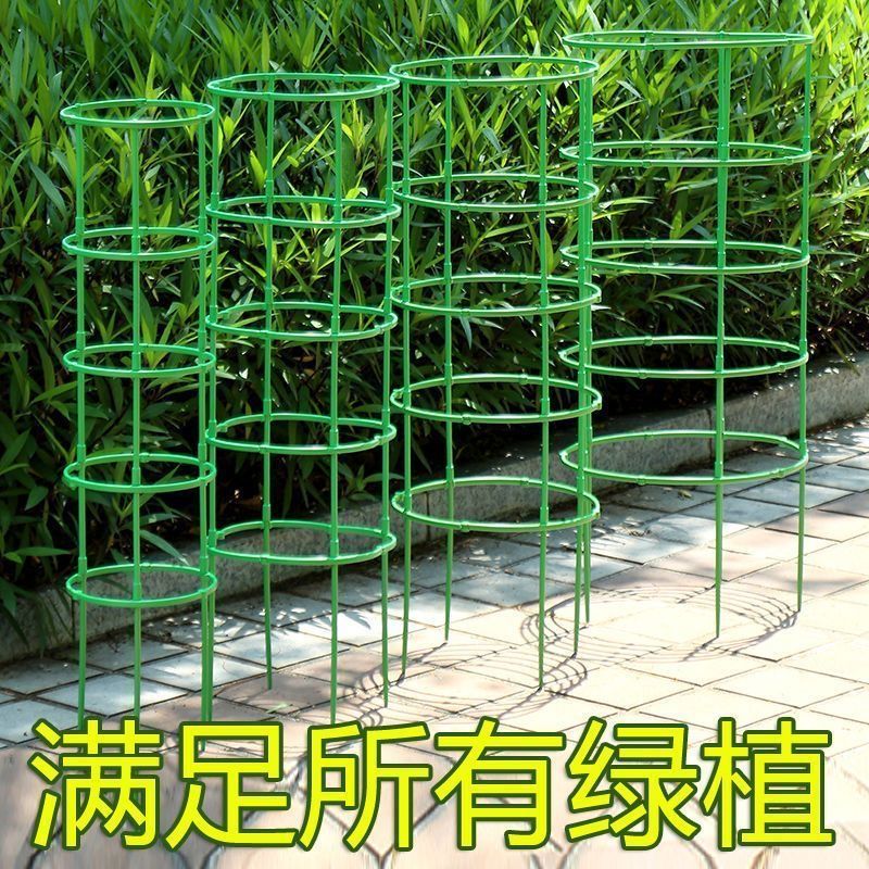 a88c0f0a-5f5a-4582-8969-a195bcf3a35d.jpe