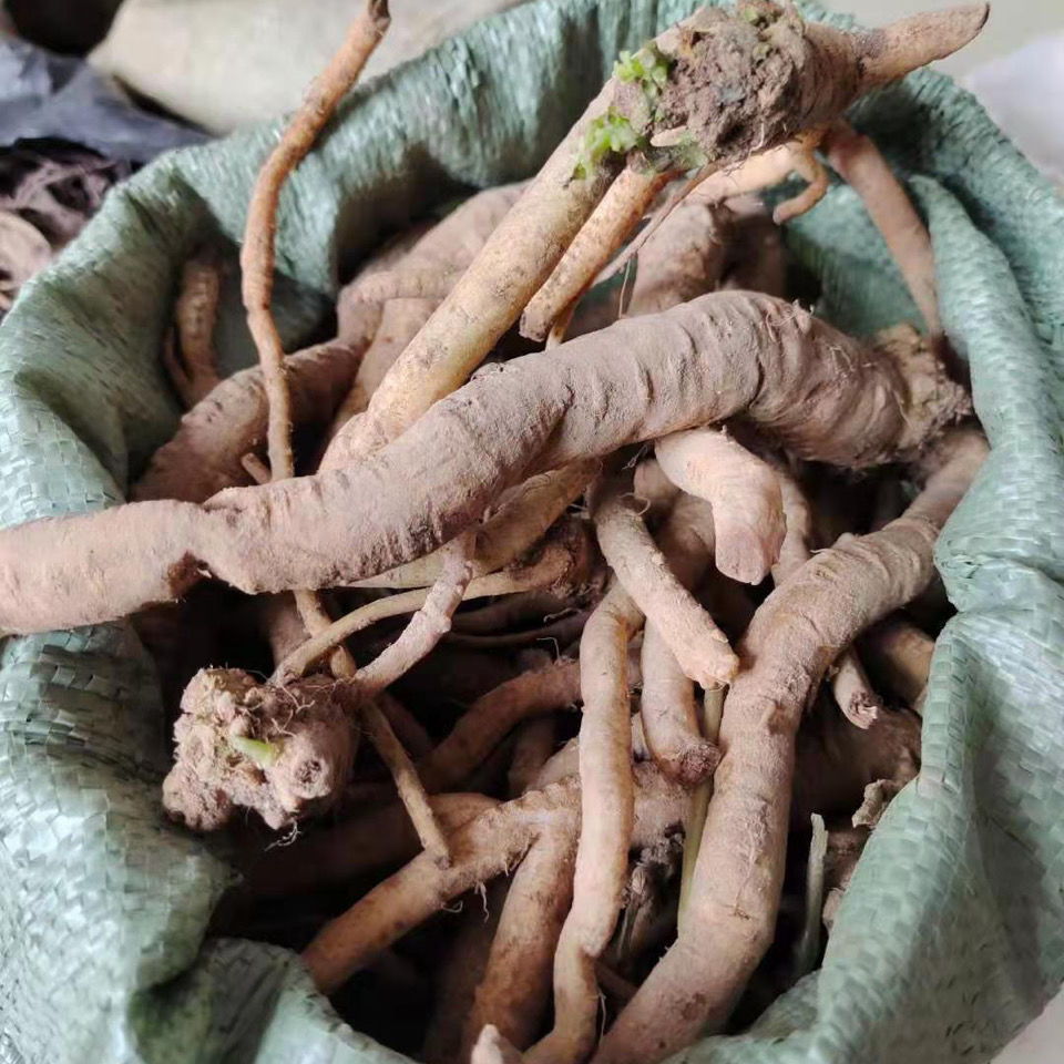 【官方旗舰】广西土党参 野党参 新鲜 土参 土党参 500克 新鲜 一斤