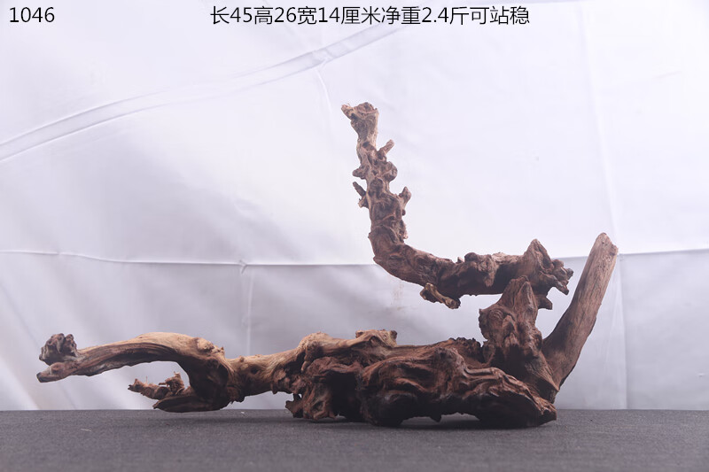 2094afa647a464b9.jpg