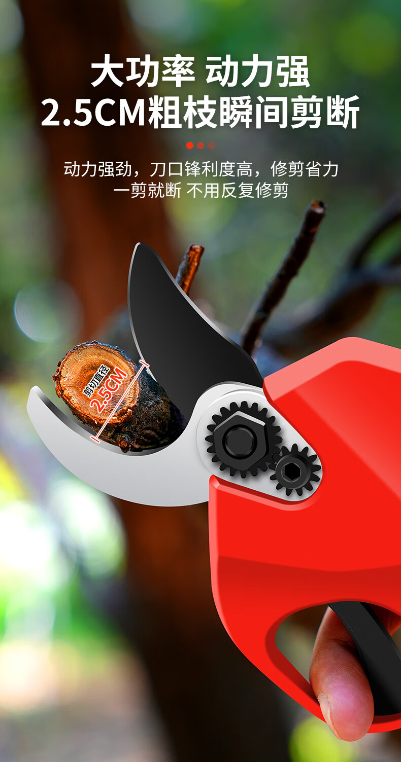 a4a9dc2331821679.jpg
