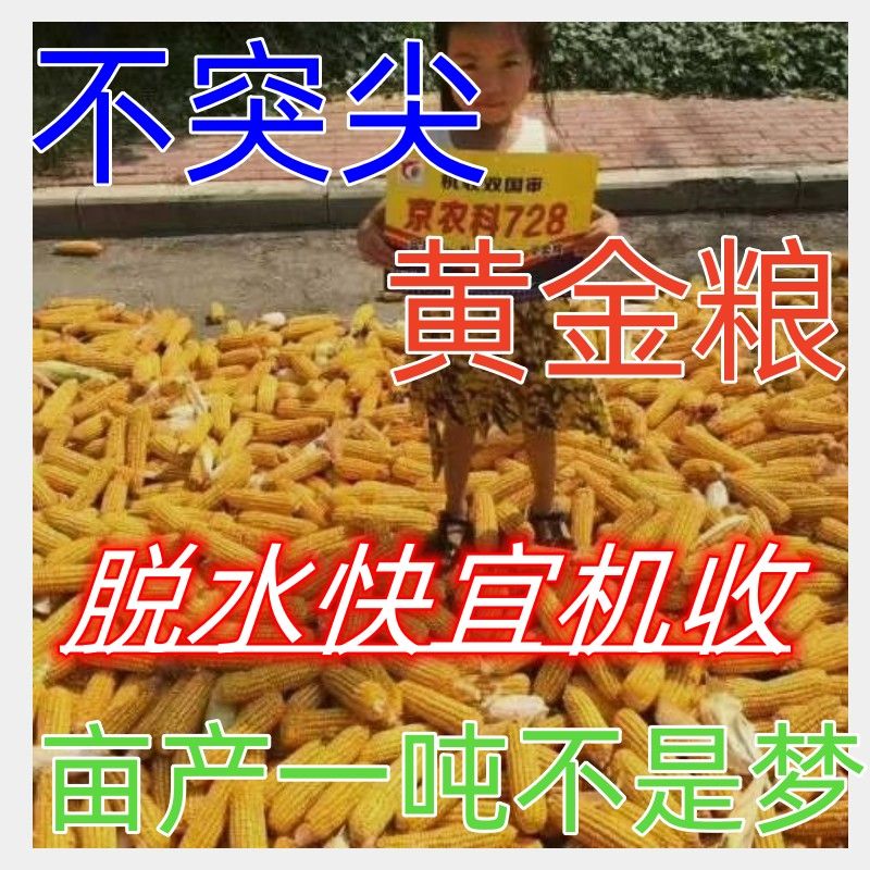 94bd301e134aa297.jpg