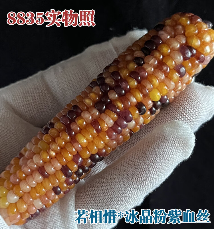 c7144c7b065cbf4a.jpg