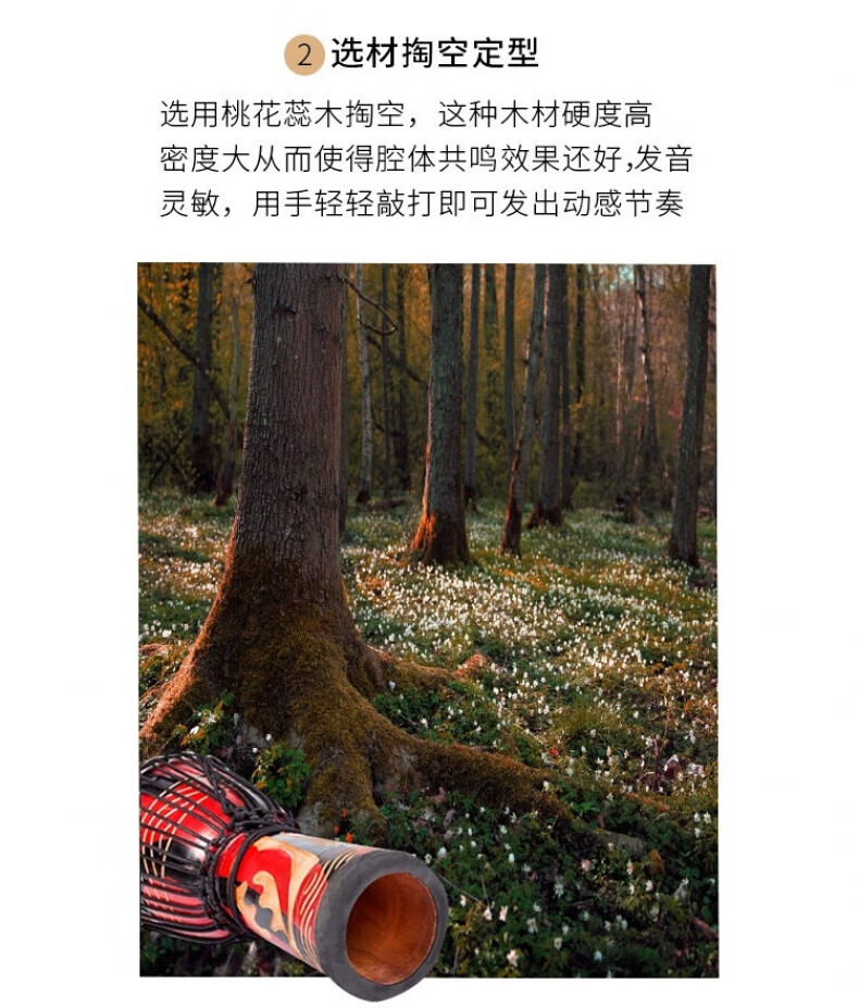 d388261ad4d34ef4.jpg