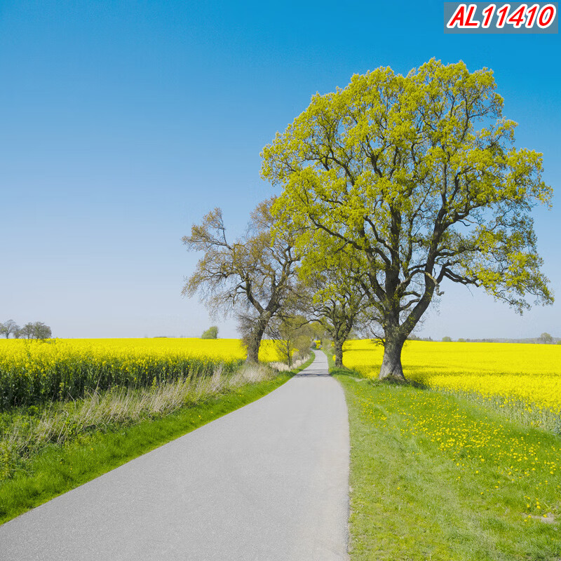 886cbc3a886da33d.jpg