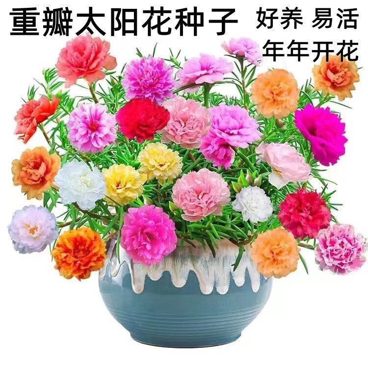 2f0f177172dd60f9.jpg