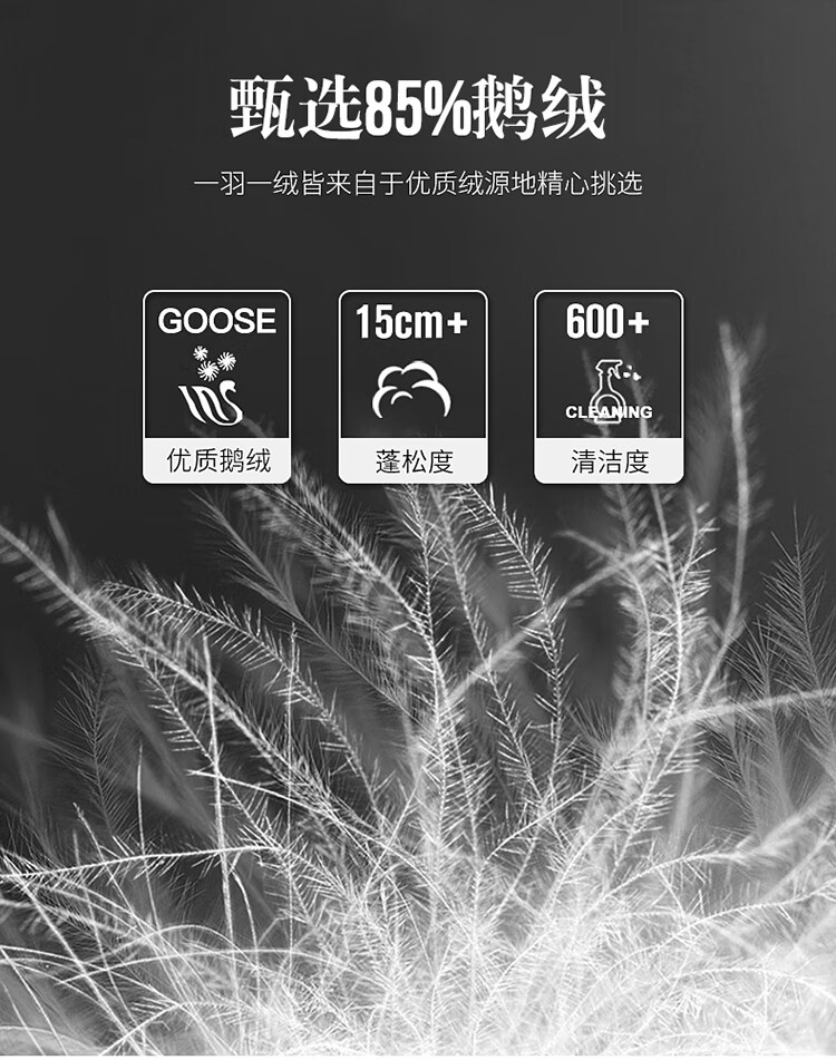 d9515d6757bf4f28.jpg