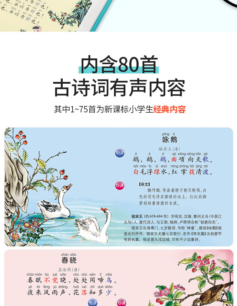 2ae9cb2b2375db4e.jpg