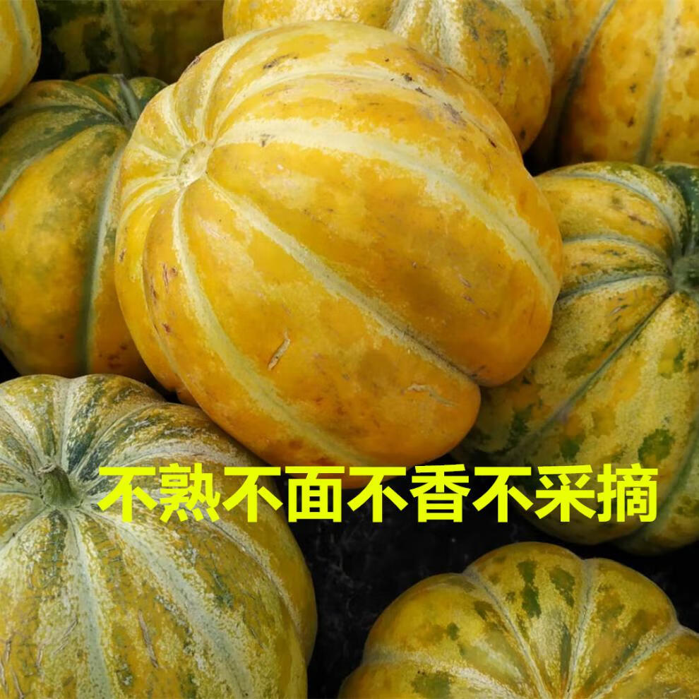 顺丰现货速发老味道山东老面瓜黄皮花皮面瓜当季现摘香瓜老年人低糖