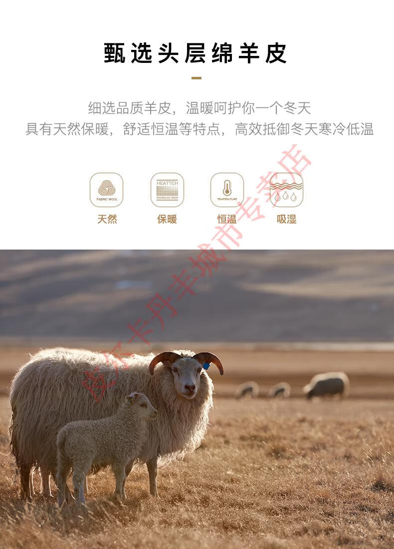 d78c1a714da53e36.jpg