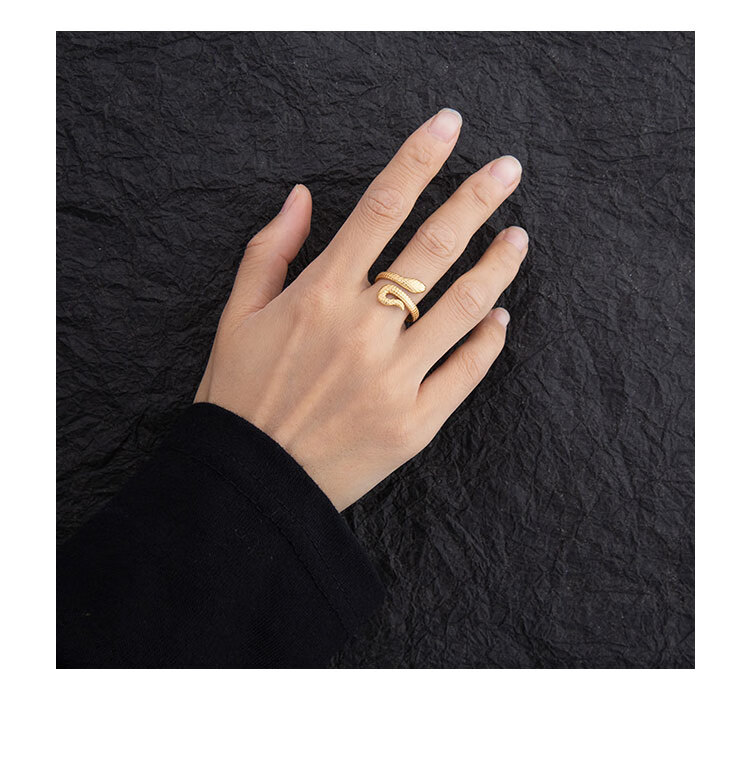 卡尔文·克莱恩(calvin klein)蛇形戒指原创设计男潮女小众设计感钛钢