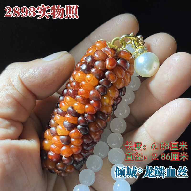 d838edc168161d46.jpg