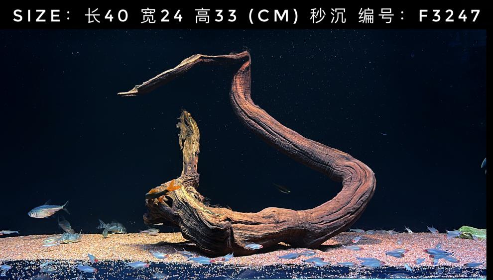 125fbe5a0a110c47.jpg