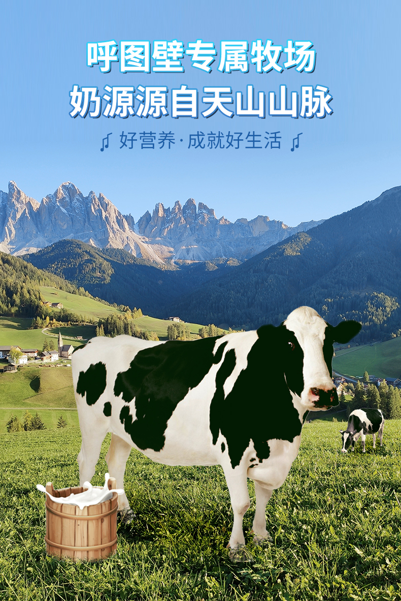 3克乳蛋白 呼图壁七牧场牛奶206克*12盒早餐奶 2件【图片 价格 品牌