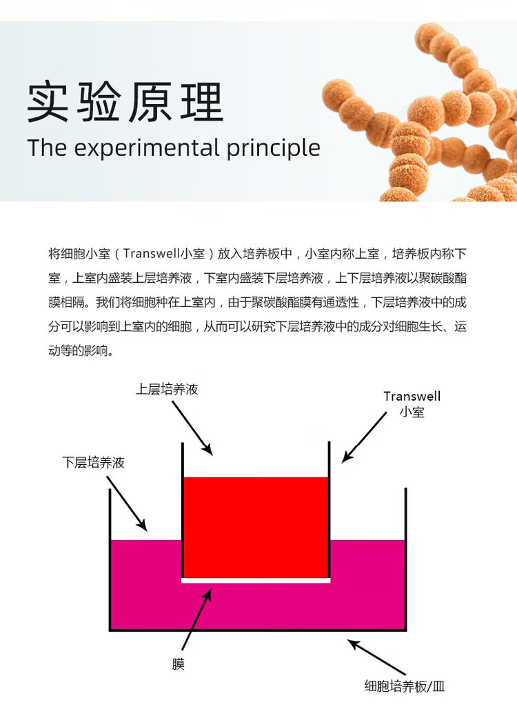 9ae793f9fb39929c.jpg