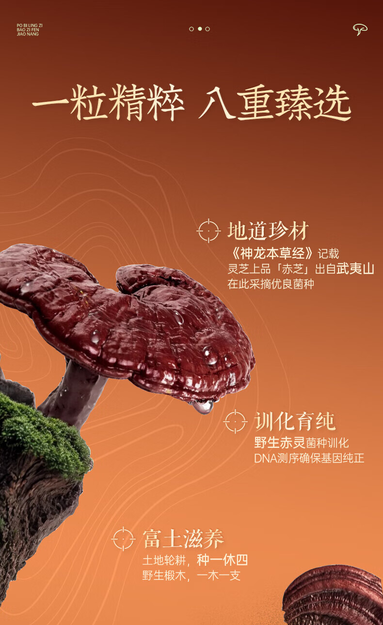 0665d896e5cbd63d.jpg