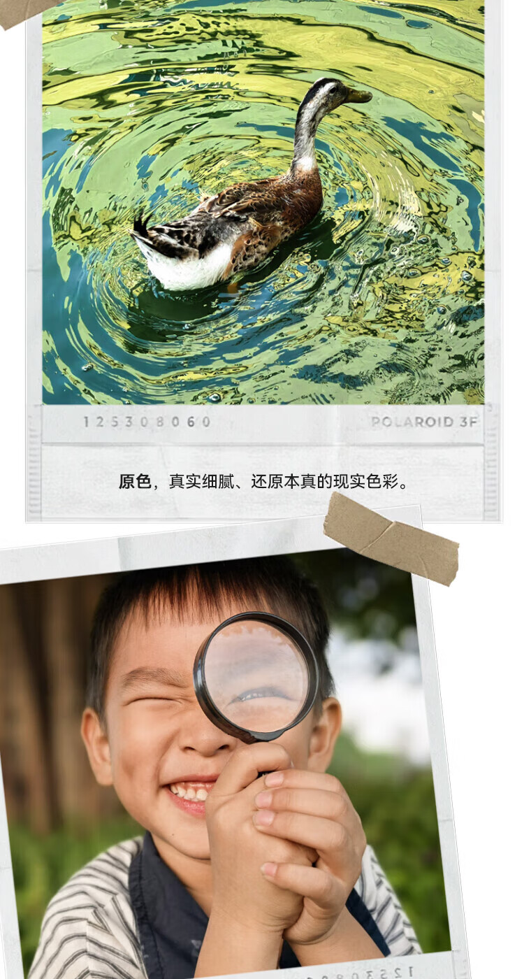 889f2cb25752abac.jpg