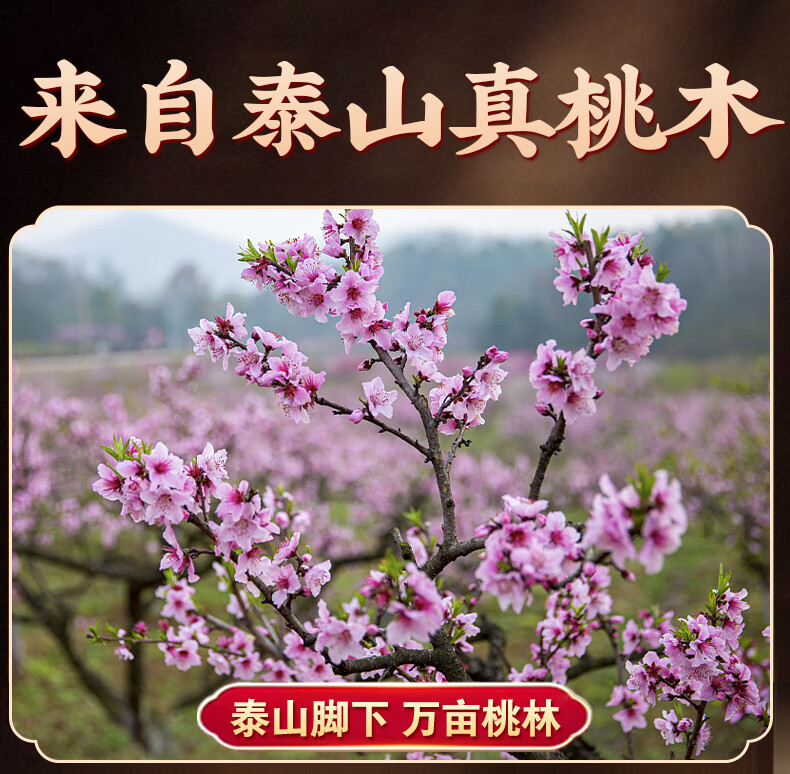 b528f5449aeee226.jpg