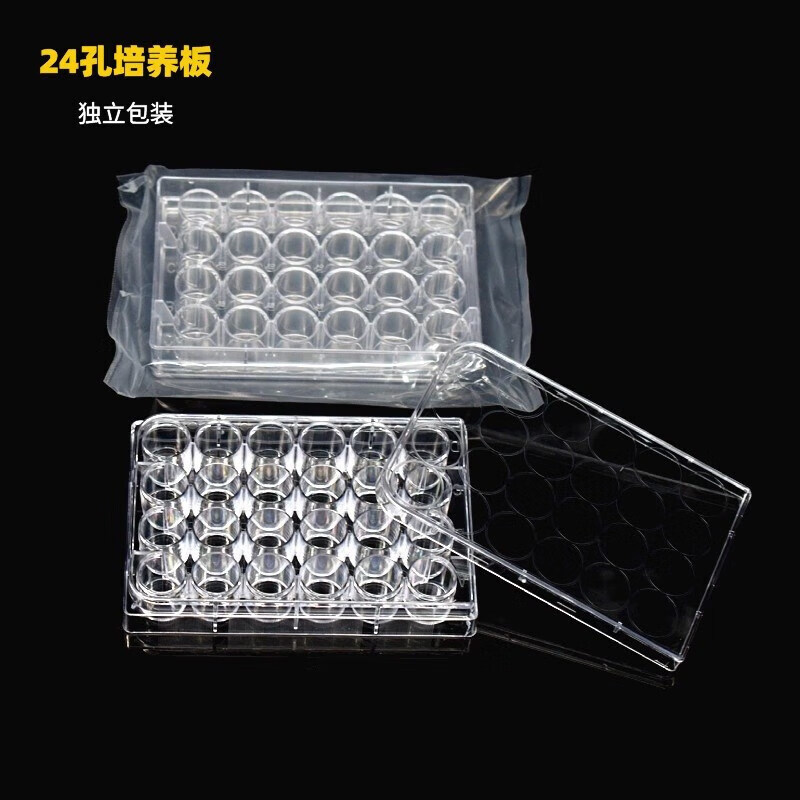 ee9dc41583cc8533.jpg
