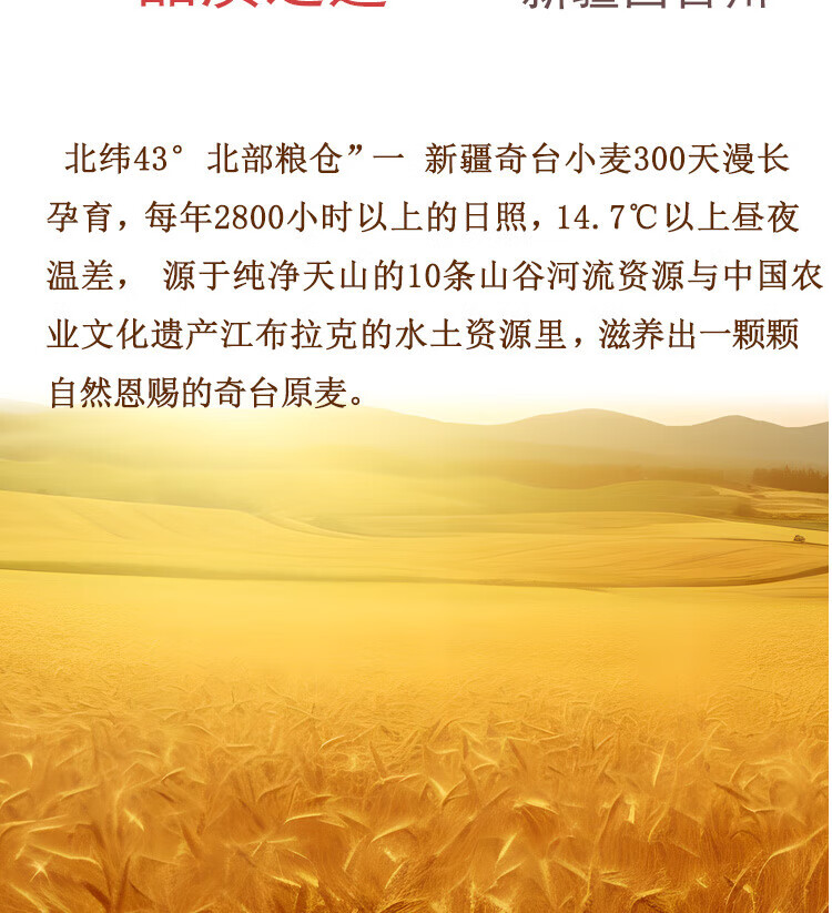 b74e83a34aaaed07.jpg