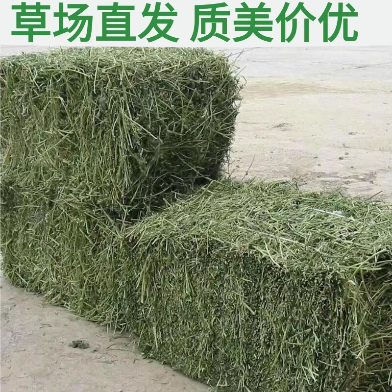 f3d3d14e1391175c.jpg