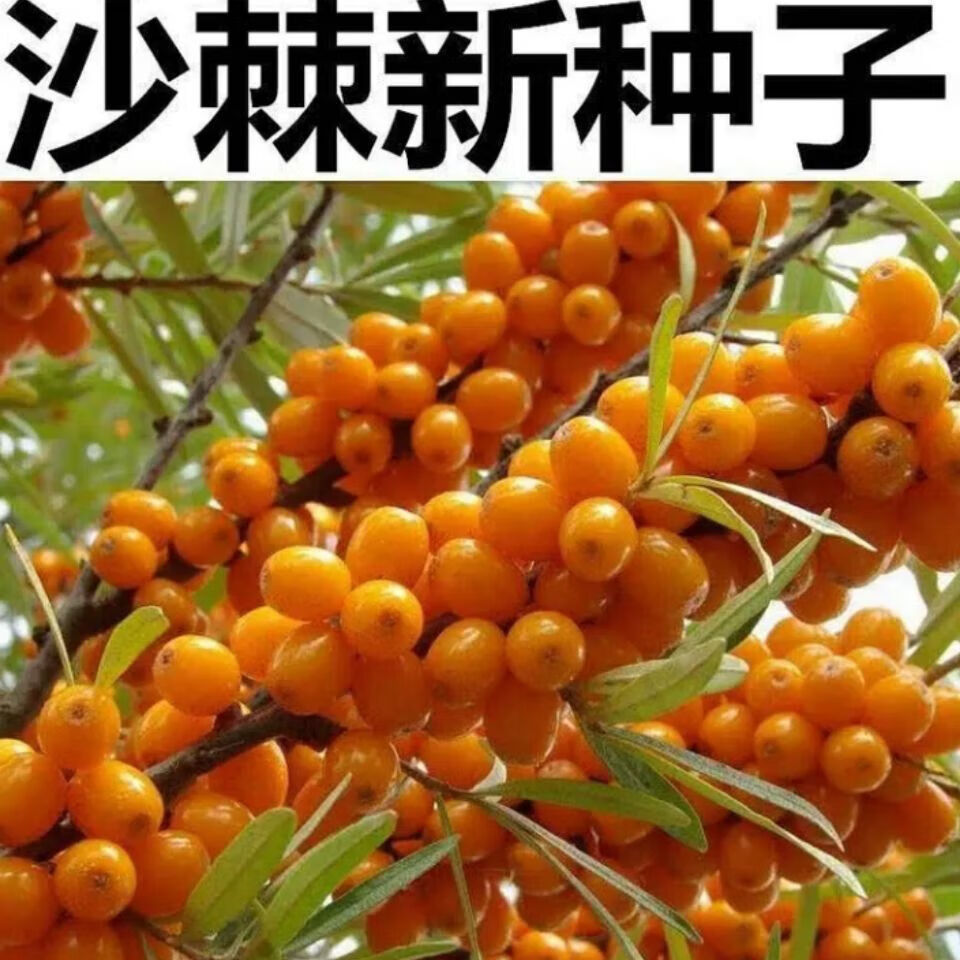 c1356494f4461876.jpg