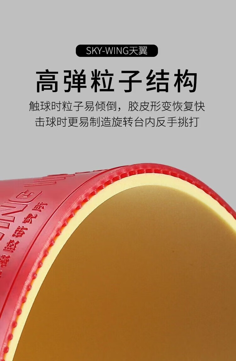 a61fb45ea7f66902.jpg