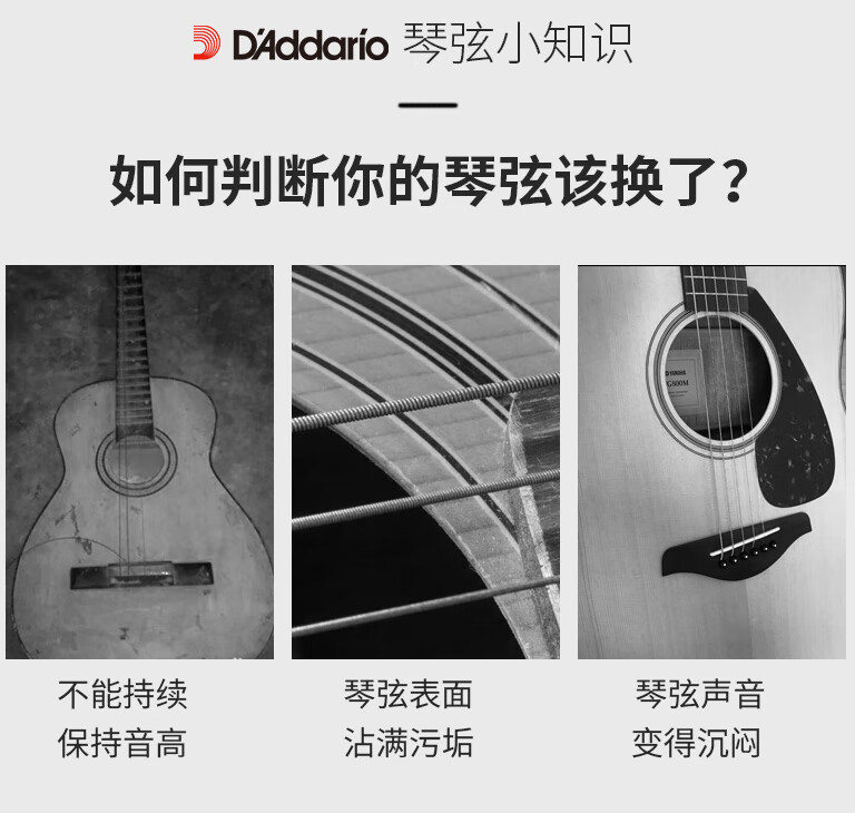 acdc662c20814384.jpg