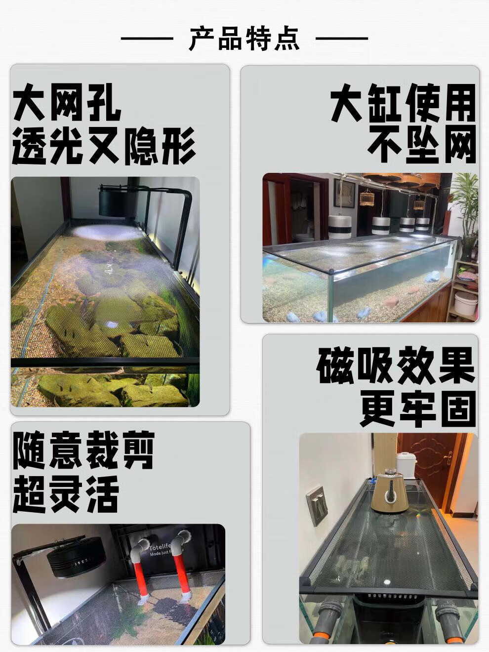 902fe77e5e0b3112.jpg