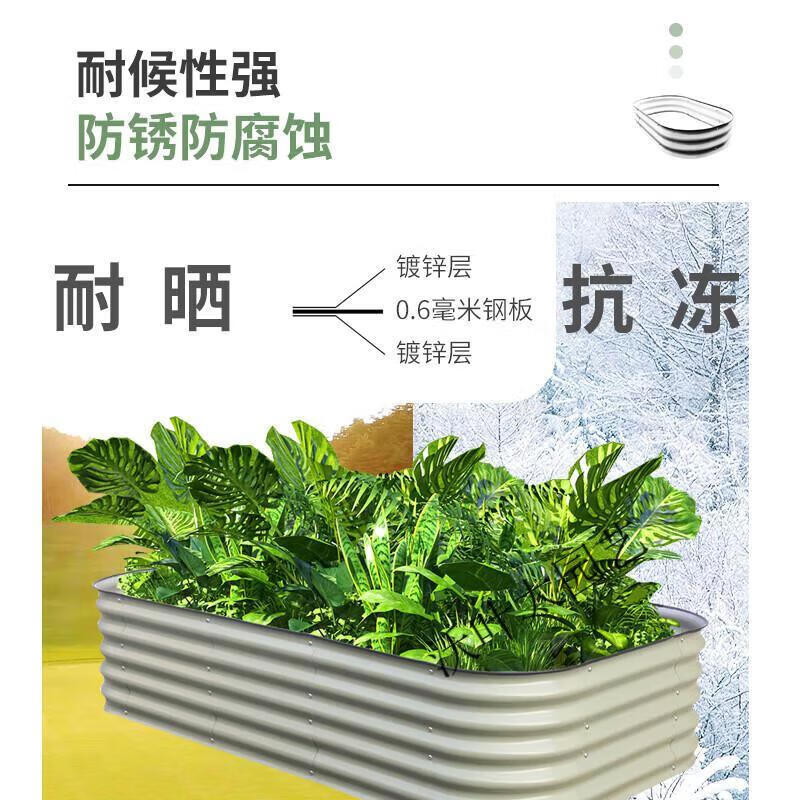 af630a02d5aa8951.jpg