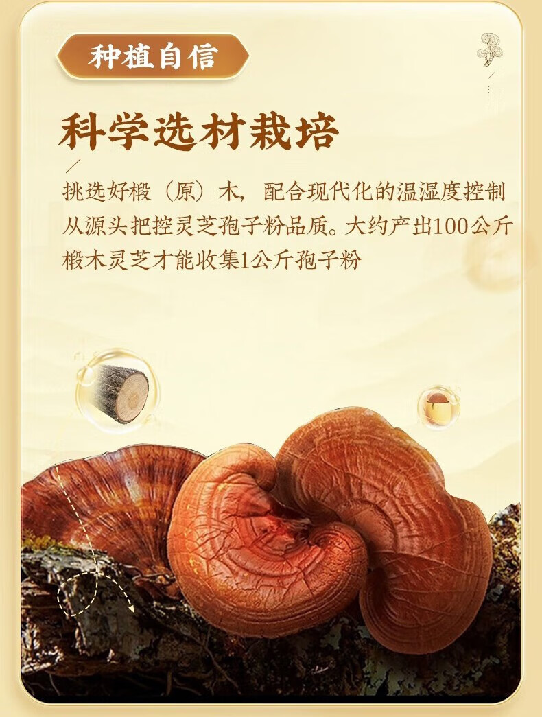 f750919f80fe110b.jpg