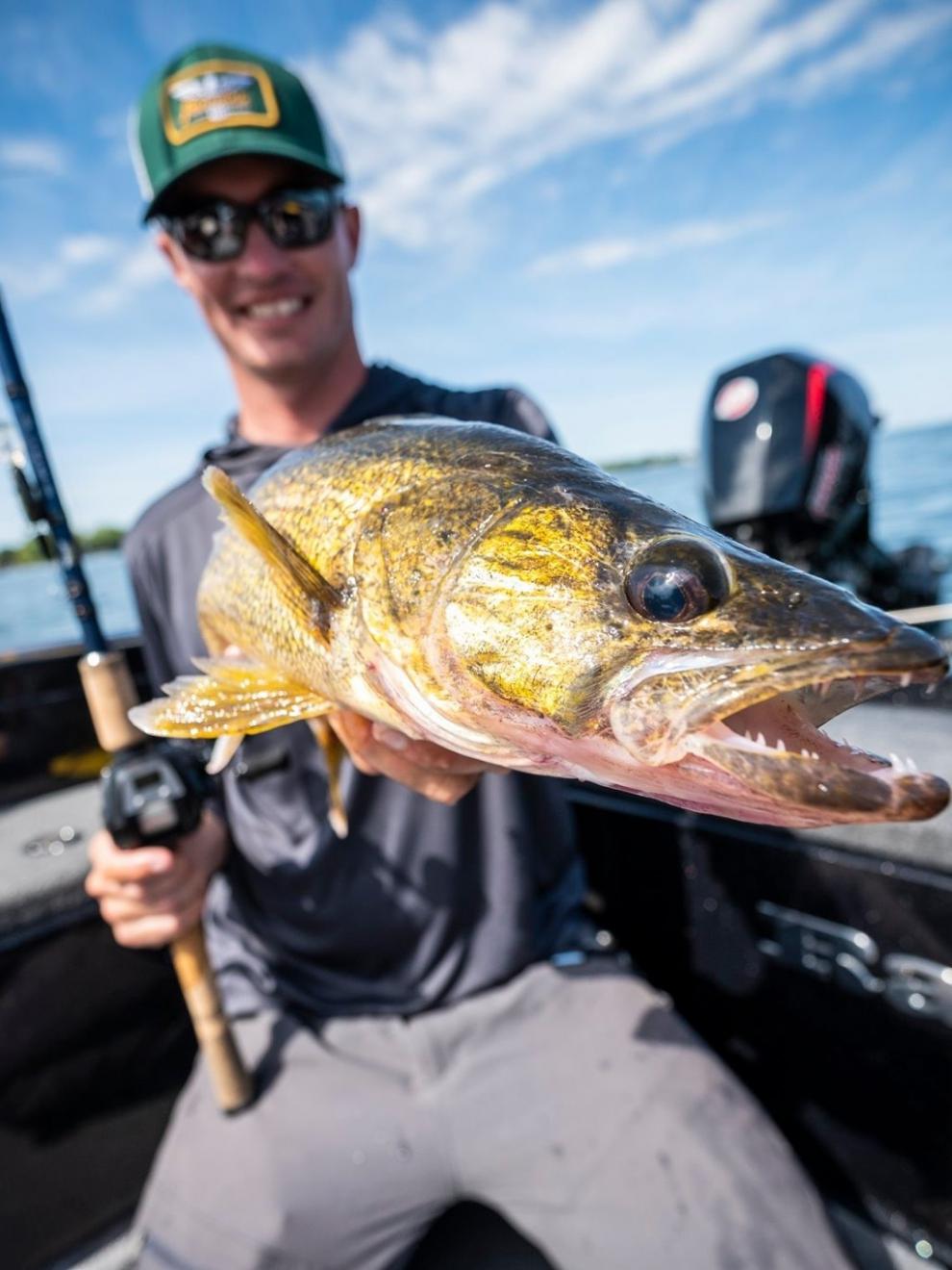 2022新款阿布路亚阿布大黄蜂先锋路亚竿单竿远投竿直柄枪柄翘嘴竿初学