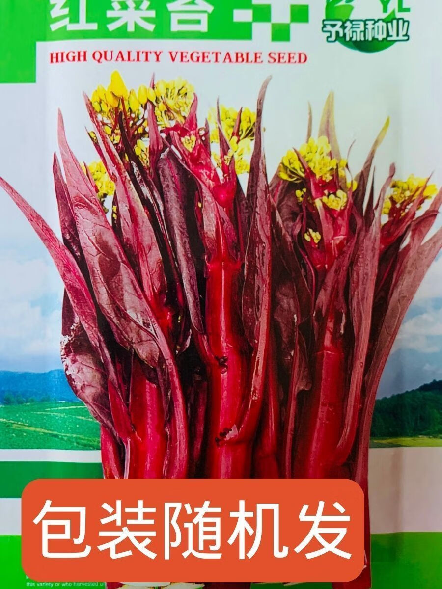 4dd535513c957ecf.jpg