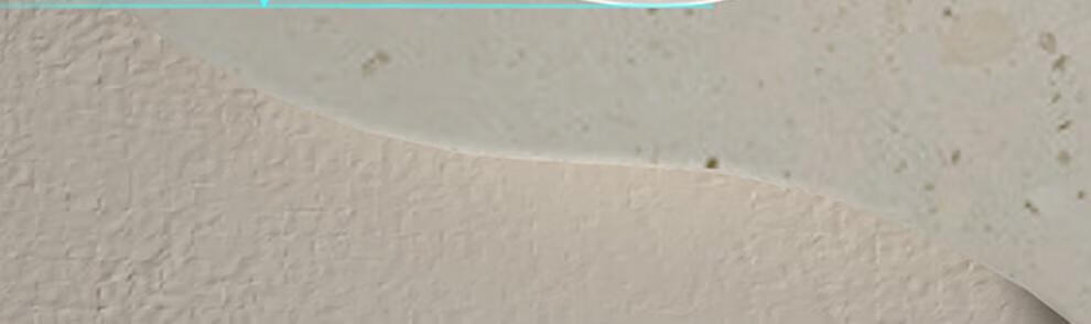 d8155991ddf91018.jpg