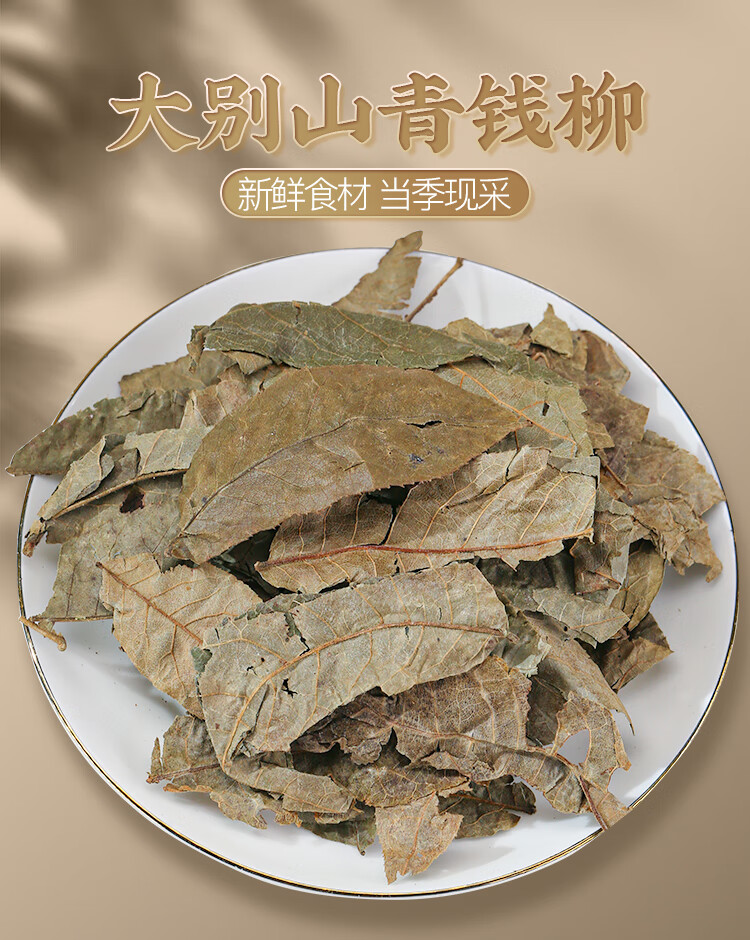 cd7ffded28db63ed.jpg
